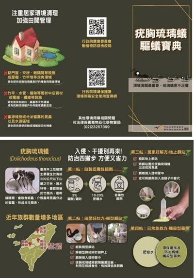 疣胸琉璃蟻防治